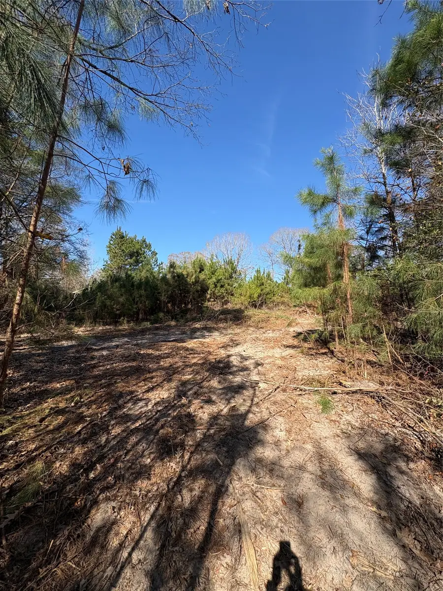 188 Hant Hill Road, Livingston, TX 77351 - #2