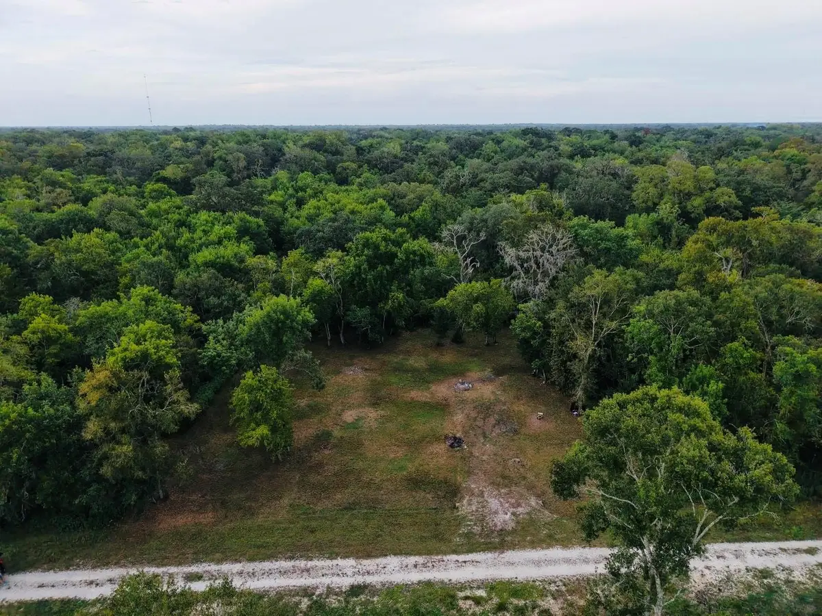 0 Elm Cr 825c Street, West Columbia, TX 77486 - #1