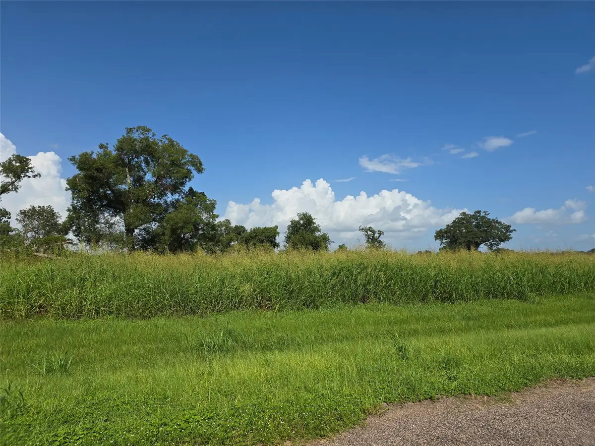 17018 Dewberry Lane, Rosharon, TX 77583 - #1