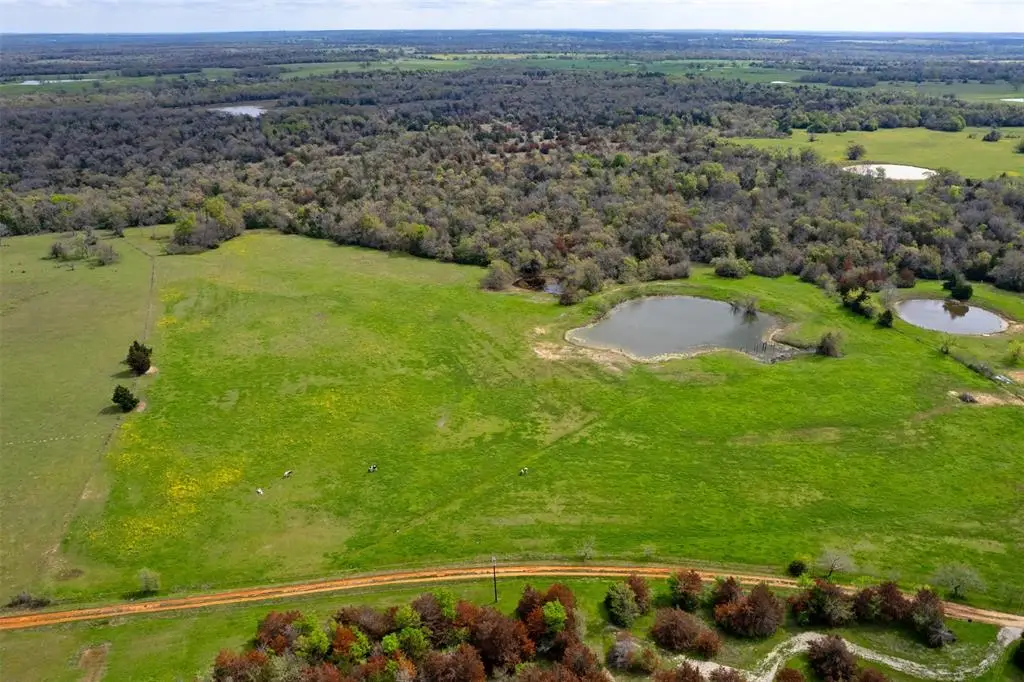 3882 Webb Cemetary Road, Calvert, TX 77837 - Image #1