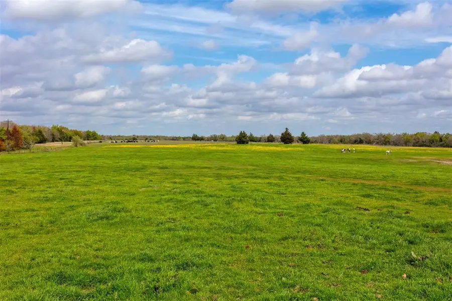 3882 Webb Cemetary Road, Calvert, TX 77837 - Image #3