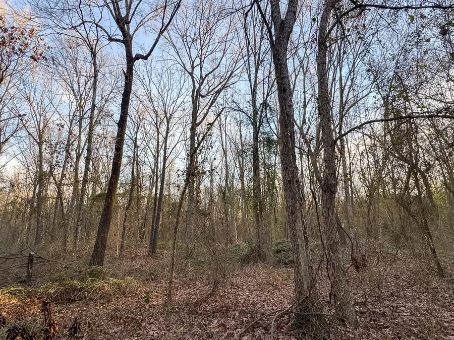 T-5 Cr 4302, De Kalb, TX 75559 - Image #3