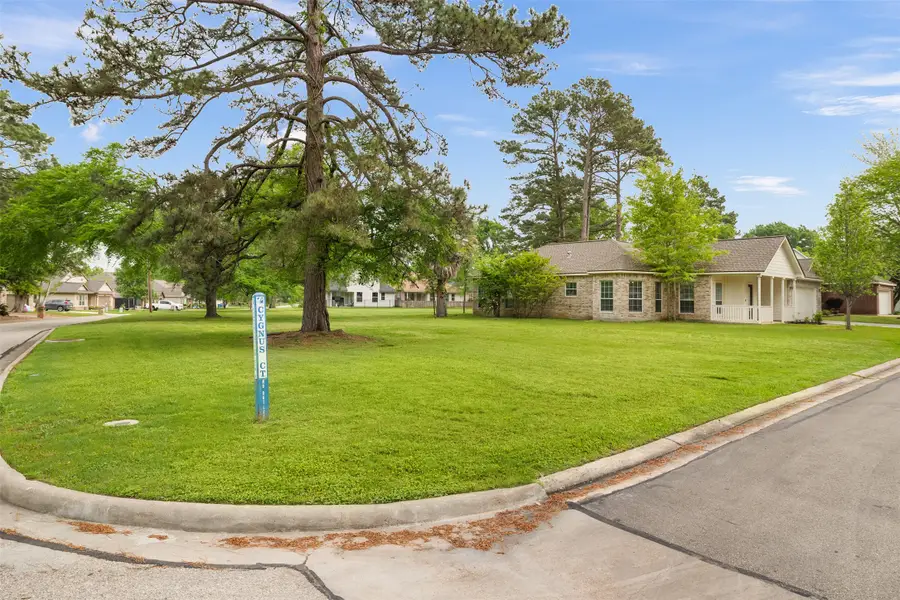 14874 Cygnus Court, Willis, TX 77318 - #3