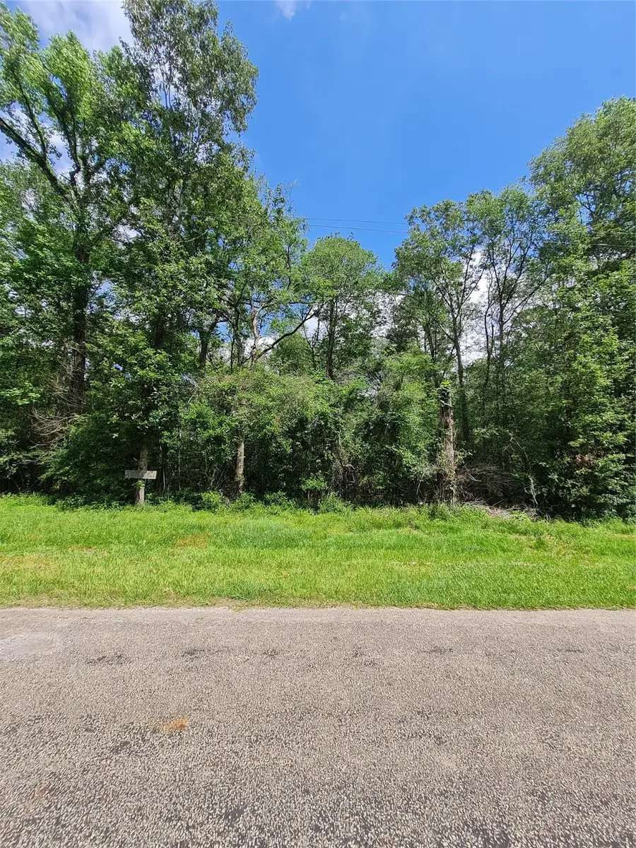 TBD Holly Ln, New Caney, TX 77537 - Image #2