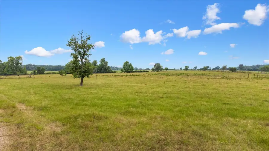 163 Town And Country Drive, Huntsville, TX 77320 - Image #2