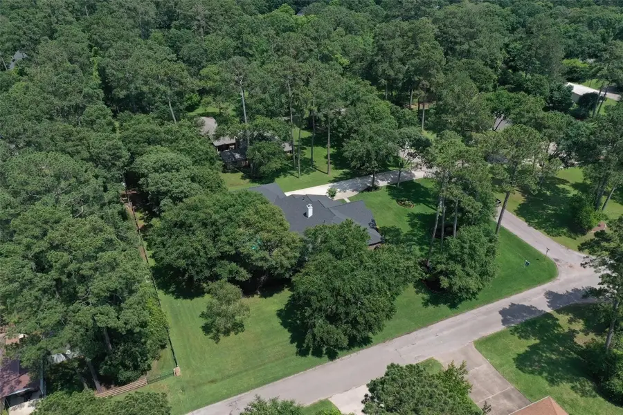 25003 Silver Leaf Street, Magnolia, TX 77355 - #3