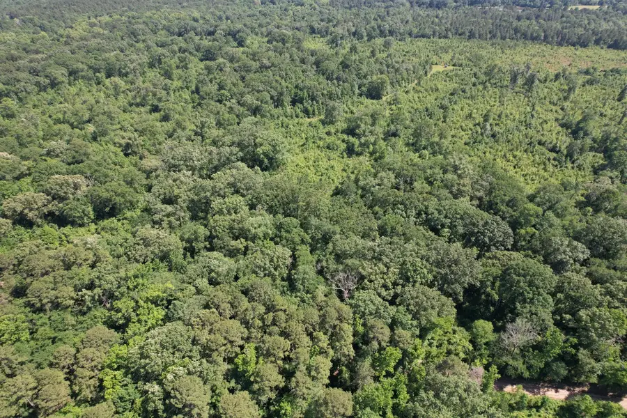 TBD-E County Road 4021, Timpson, TX 75975 - Image #3