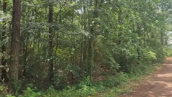 Lot 7 Cherry Tree Lane, Plantersville, TX 77363