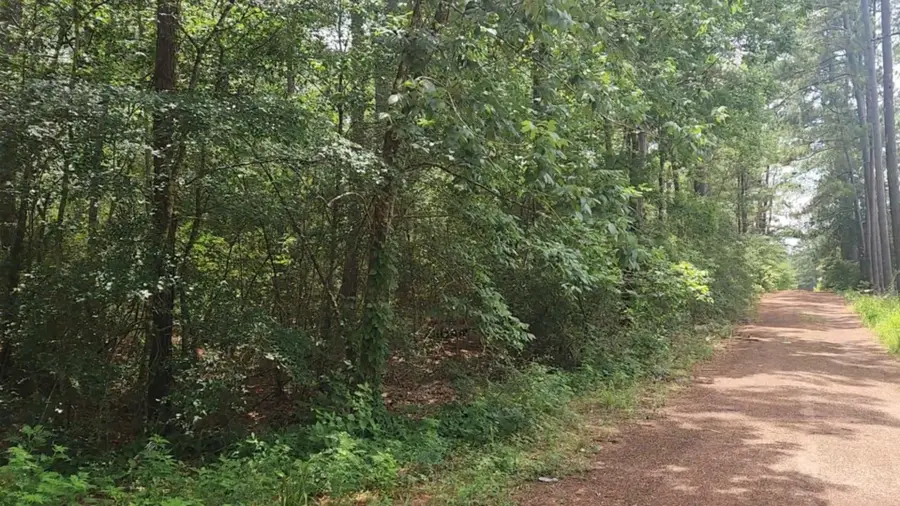 Lot 7 Cherry Tree Lane, Plantersville, TX 77363 - Image #2