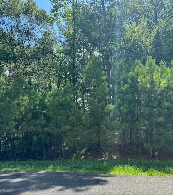 11 Hillsborough Drive, Huntsville, TX 77340 - Image #2