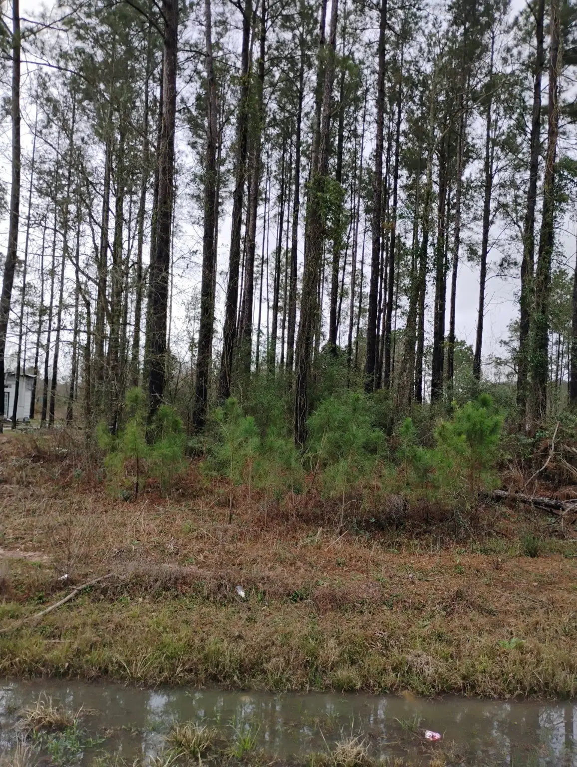 298 County Road 5001, Cleveland, TX 77327 - Image #1