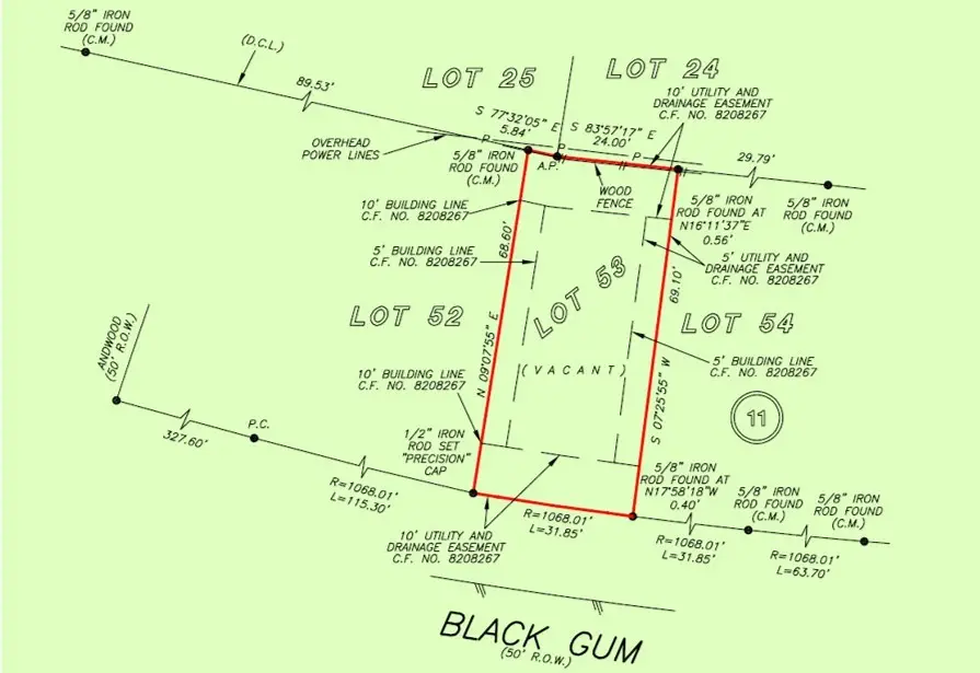 9764 Black Gum, Willis, TX 77318 - #3