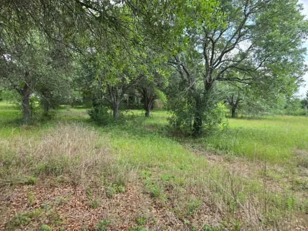 1238 E Fm 1093 Road, Wallis, TX 77485