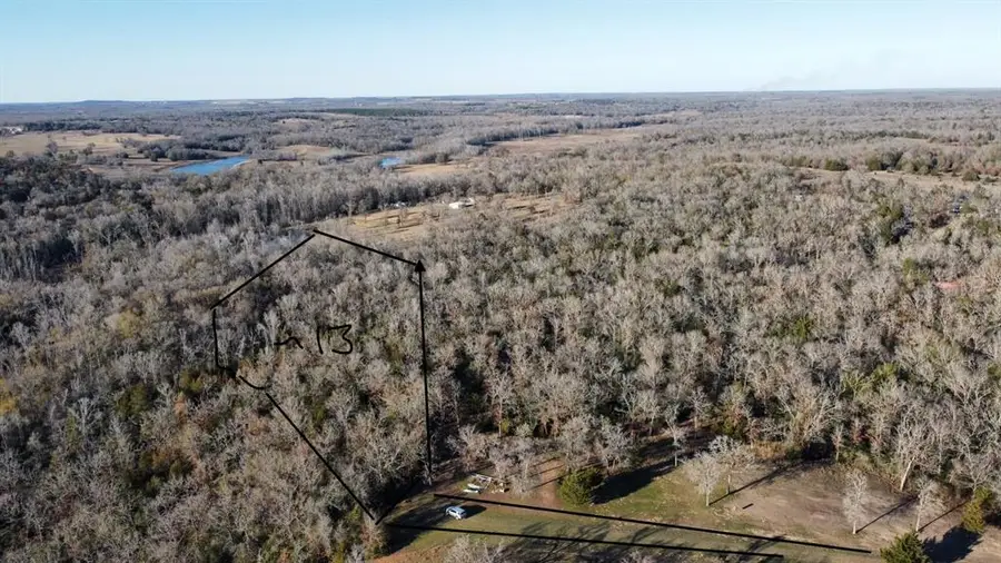 TBD 13 Ac Pr 387 Field, Buffalo, TX 75831 - Image #2