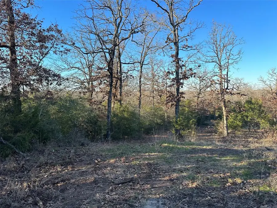 TBD 13 Ac Pr 387 Field, Buffalo, TX 75831 - Image #3
