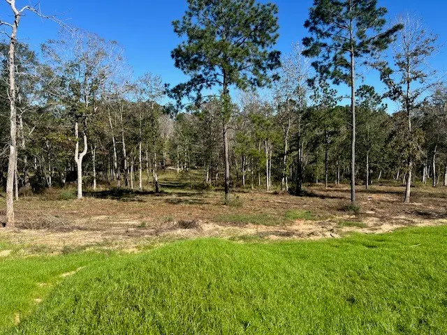 TDB LOT 29 Addison Rd, Livingston, TX 77351 - #1