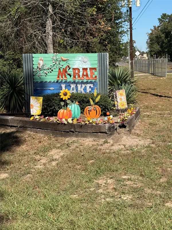 TBD4 Lake Shore Drive, Conroe, TX 77303