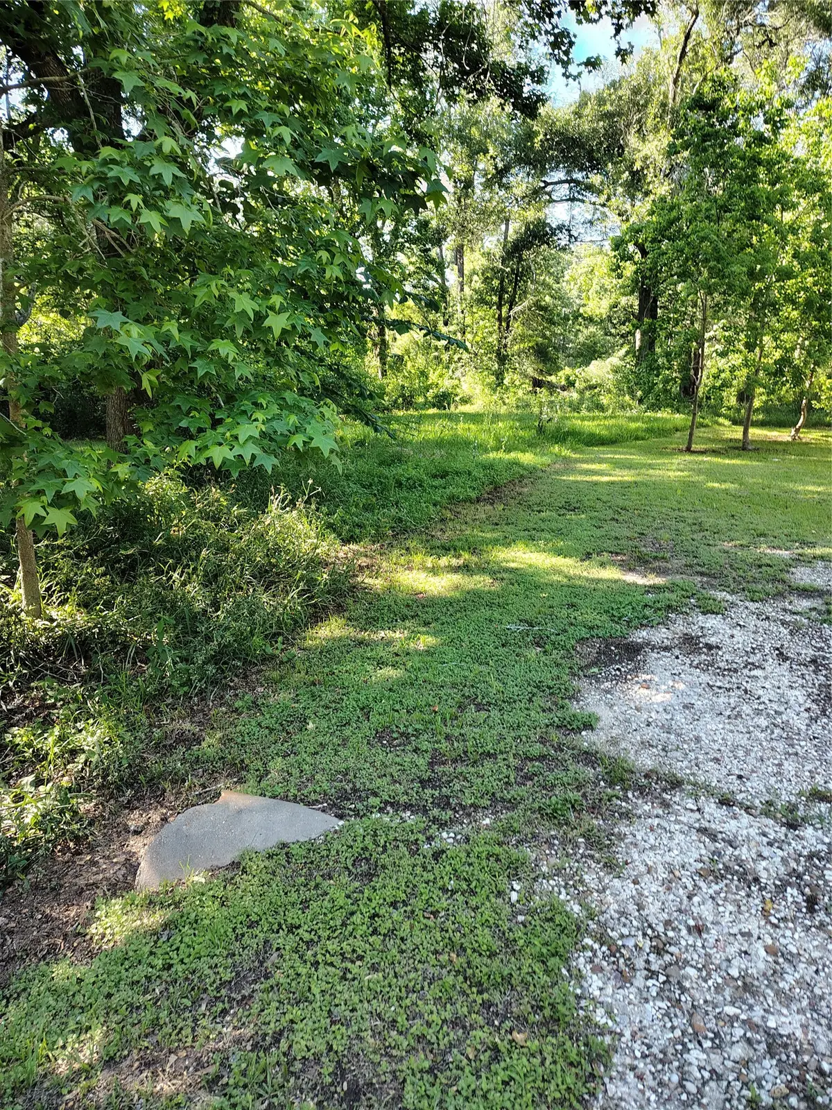 101 Pine Bend Court, Cleveland, TX 77327 - #1