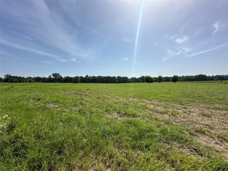 TRACT 24 Fm 2915, Lovelady, TX 75851 - #3