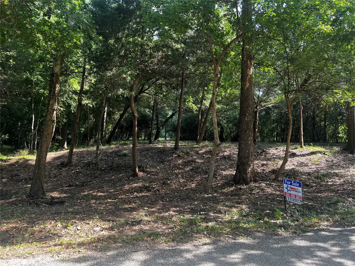 00 Chadwick Hogan Road, Chappell Hill, TX 77426 - #1