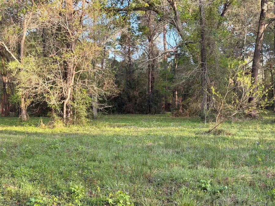 TBD County Road 2284 Freddie Rice Road, Cleveland, TX 77327 - #3