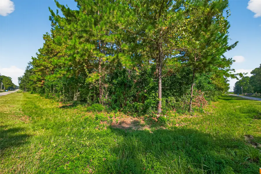 1366 County Road 3434, Cleveland, TX 77327 - #2