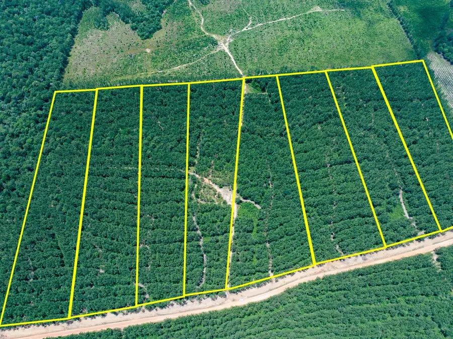 8 Benny Griffin Road, Livingston, TX 77351 - Image #2