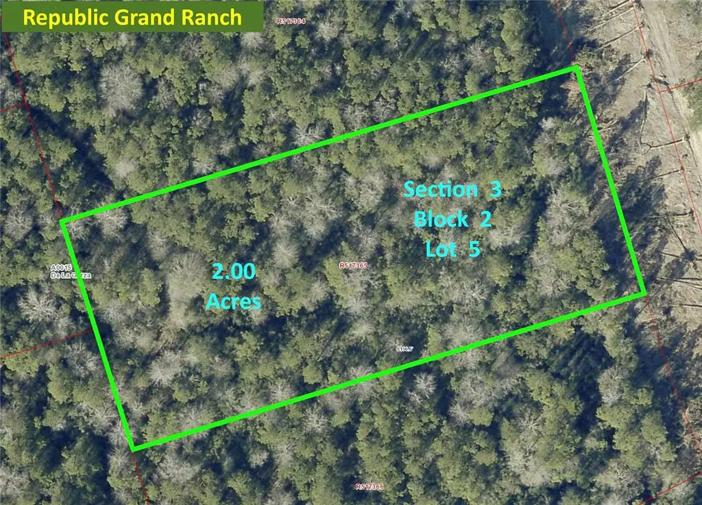 10742 Ruger Road, Willis, TX 77378 - #1