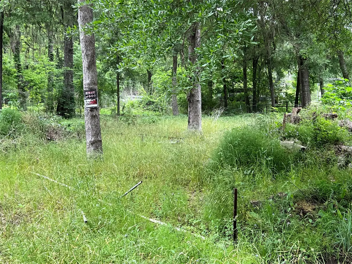 1031 Martinez Street, Coldspring, TX 77331 - #1