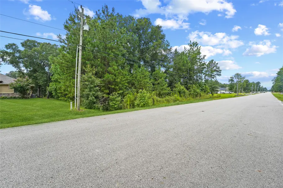 27692 Rio Blanco Drive, Splendora, TX 77372 - Image #3