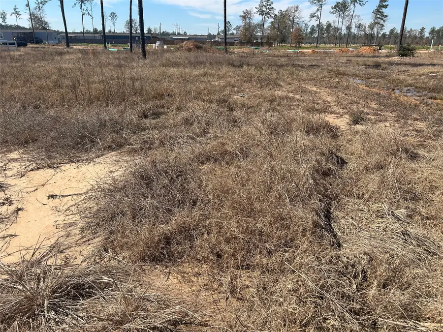 12228 Truchard Drive, Conroe, TX 77306 - Image #3