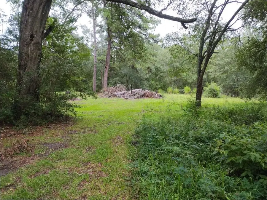 1806 S Elizabeth Avenue, Kirbyville, TX 75956 - Image #3