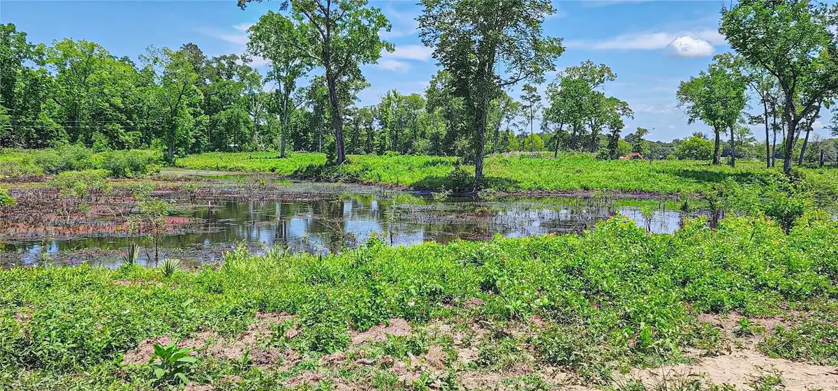 000 Tinney Road, Livingston, TX 77351 - #1