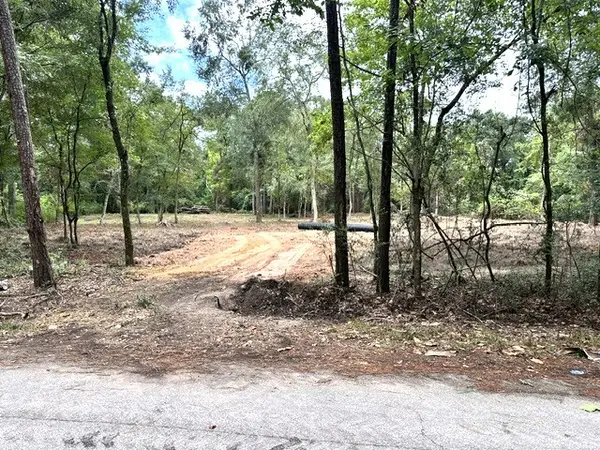 0 Pine Creek Road, Hockley, TX 77447
