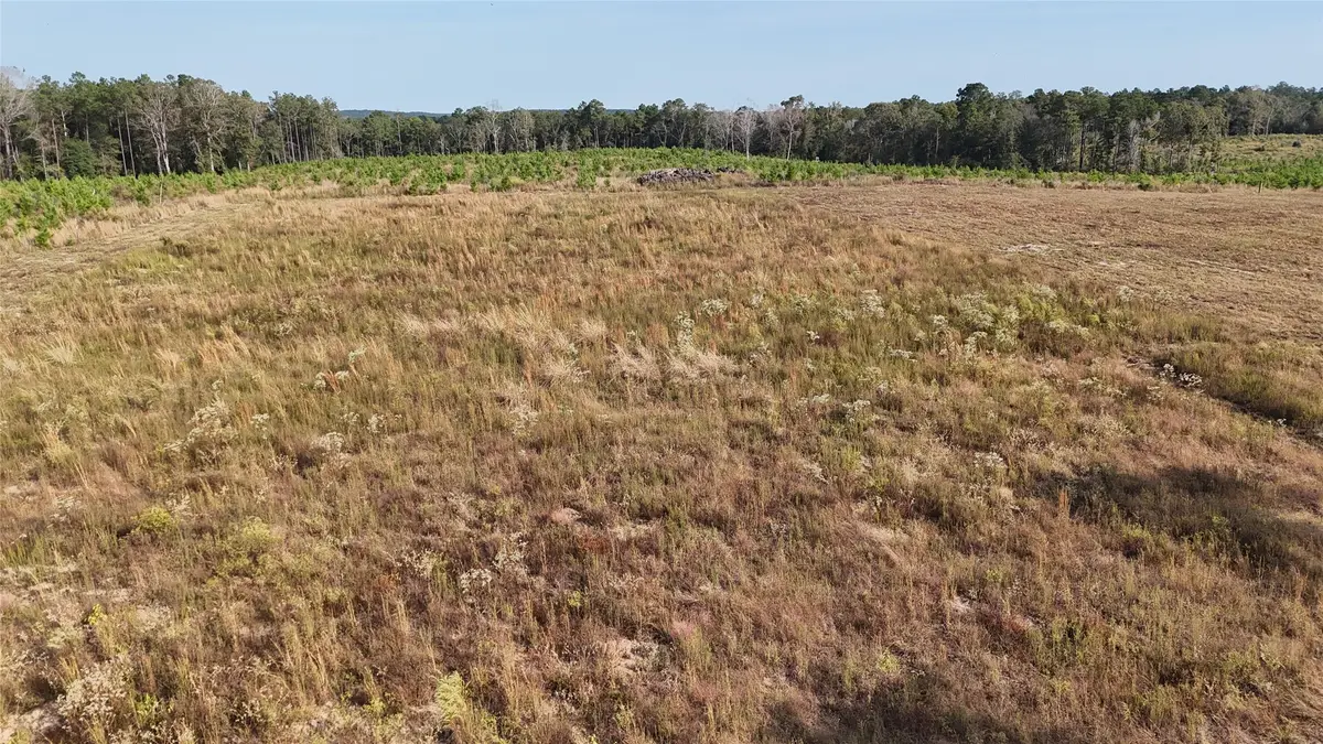 TBD 3 Young Road, Livingston, TX 77351 - Image #1