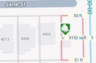 4301 Jane Street, Bellaire, TX 77401 - Image #2