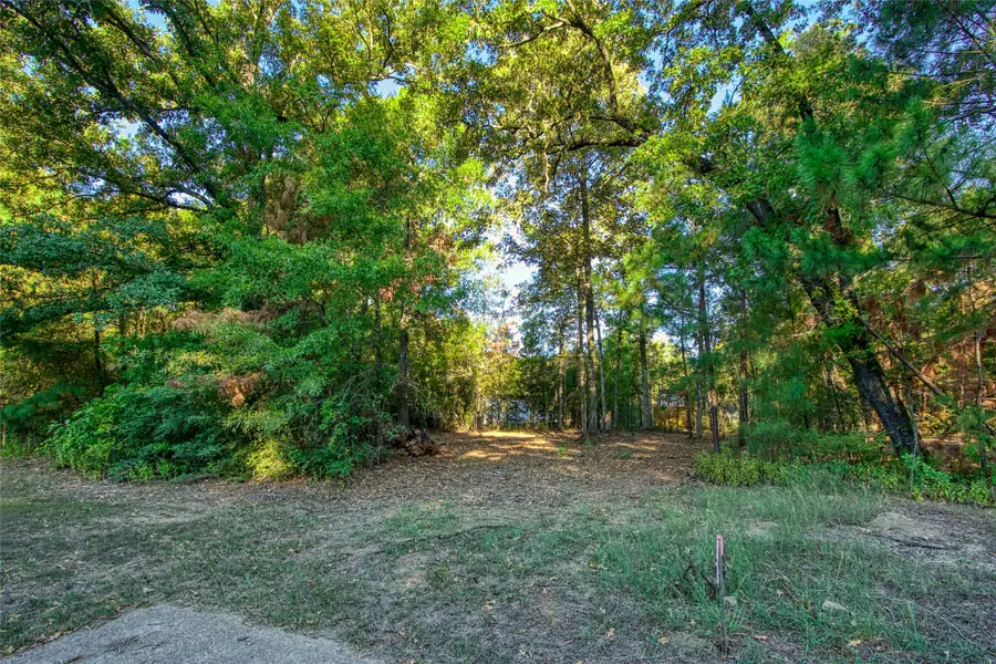 TBD Lot 104 Windwood Drive, Livingston, TX 77351 - Image #2