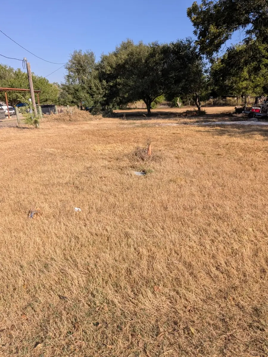103 E Panna Maria, Runge, TX 78151 - Image #2