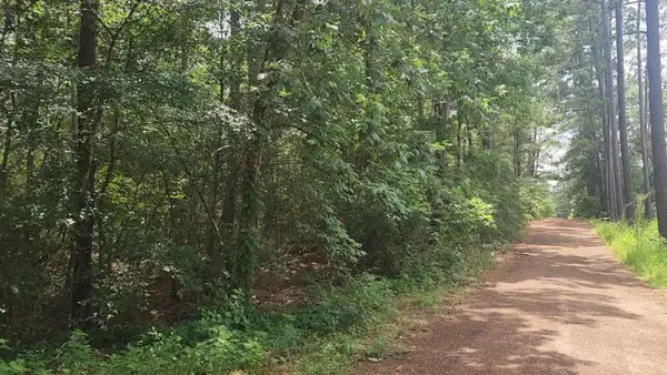 Lot 6 Cherry Tree Lane, Plantersville, TX 77363