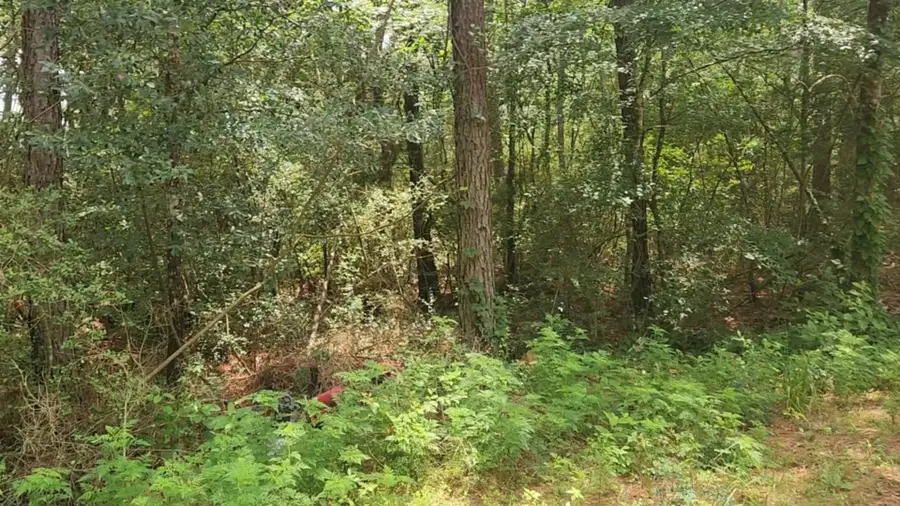 Lot 6 Cherry Tree Lane, Plantersville, TX 77363 - Image #3