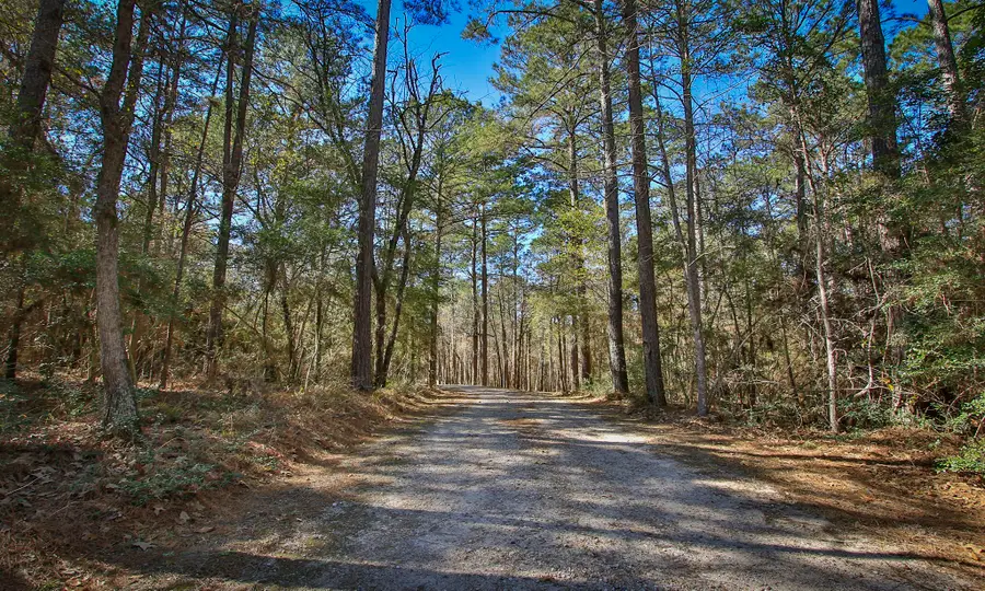 1142-2 Fletcher, Anderson, TX 77830 - #2