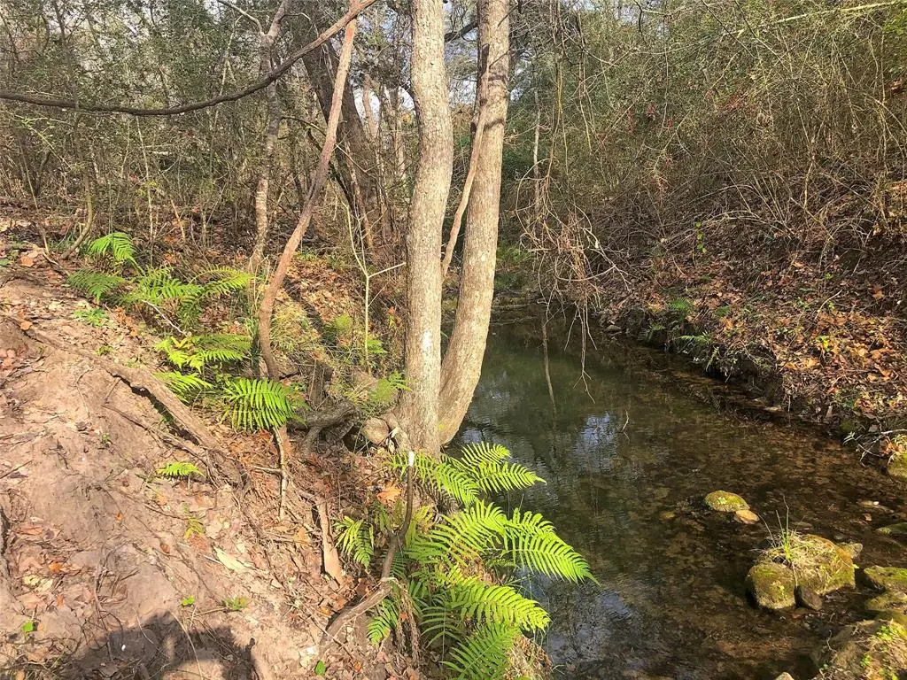 TBD County Road 221, Schulenburg, TX 78956 - Image #1