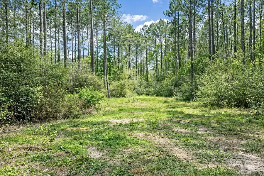 2370 Westville Road, Groveton, TX 75845 - #3