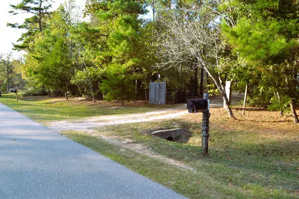 24854 Shady Oaks Boulevard, Montgomery, TX 77316