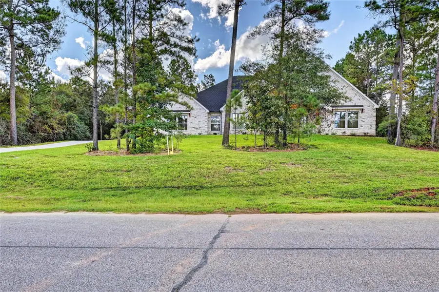 26127 E Crown Crossing Drive, Montgomery, TX 77316 - #2