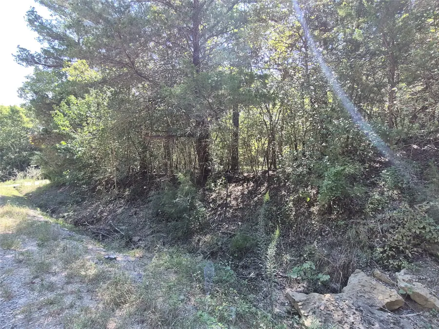 TBD Arrowhead Hill Dr, Coldspring, TX 77331 - #2