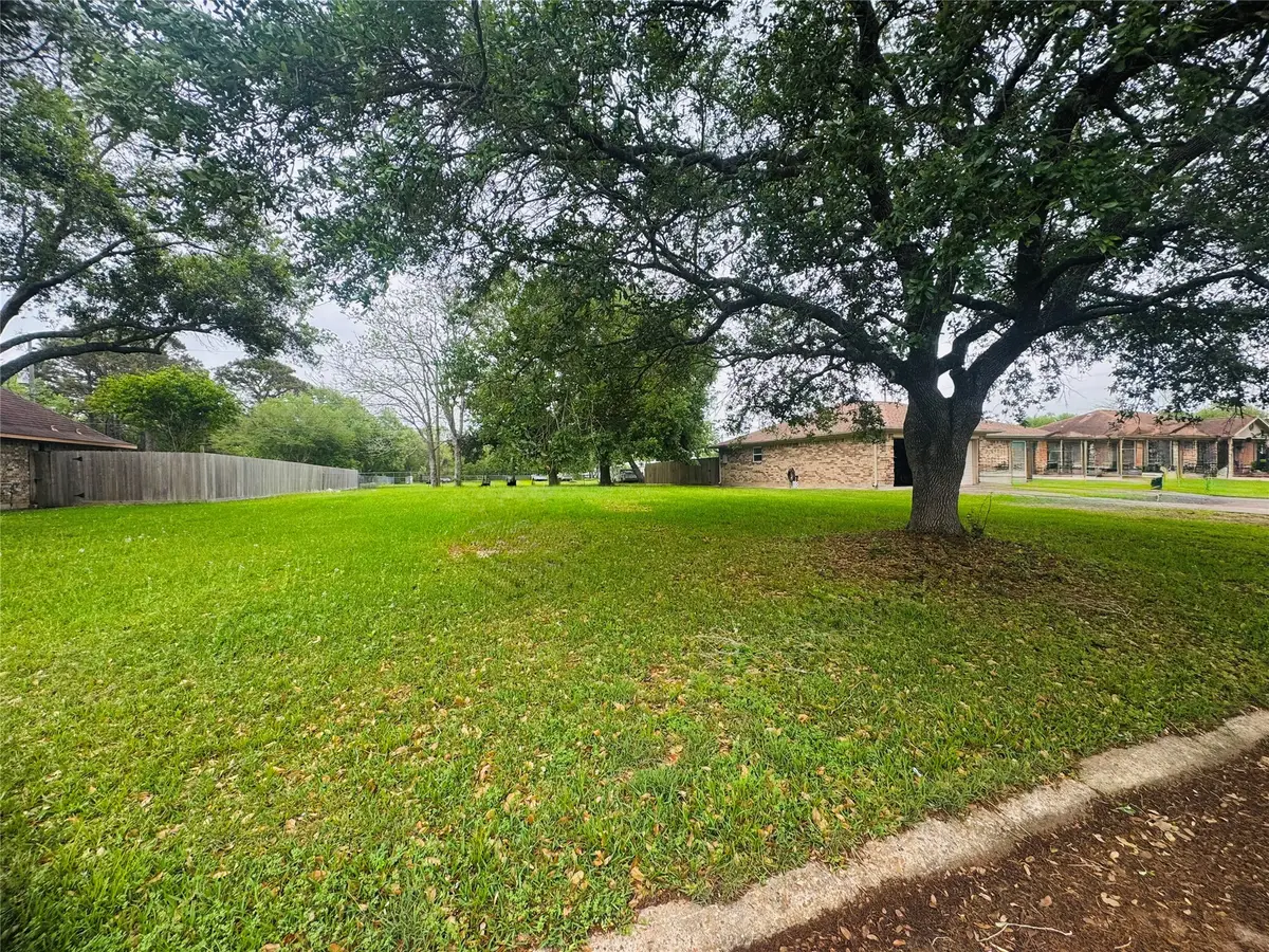 113 Belmont Avenue, Hitchcock, TX 77563 - Image #1
