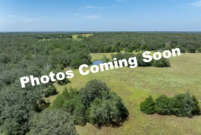 4141 Fm 60 W, Somerville, TX 77879 - #1