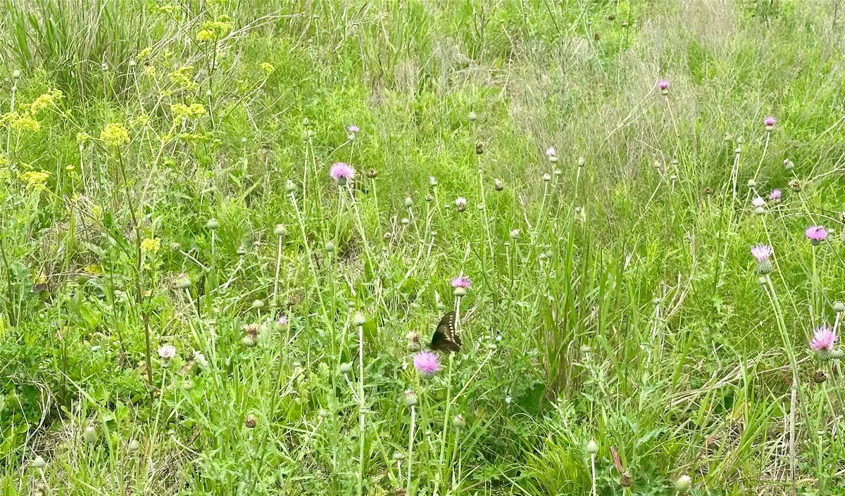 159 N Witte Rd Ranch Ne, Bellville, TX 77418 - #1