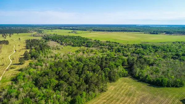 40902 Sh 105, Batson, TX 77519